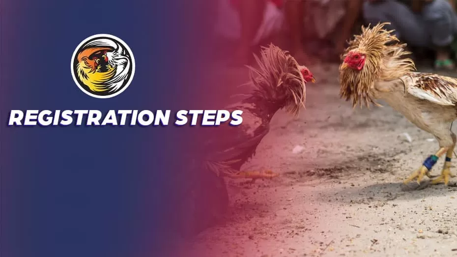 Registration Steps