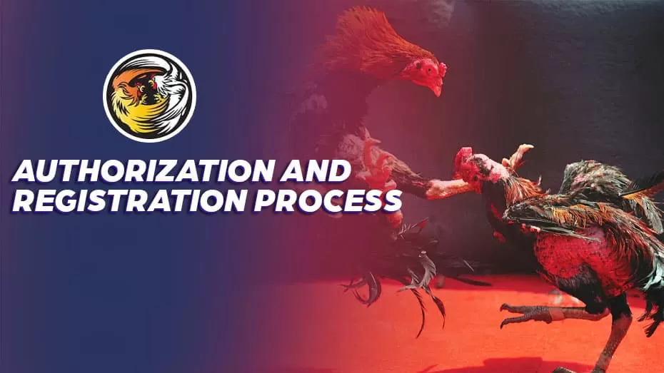 Authorization and Registration Process