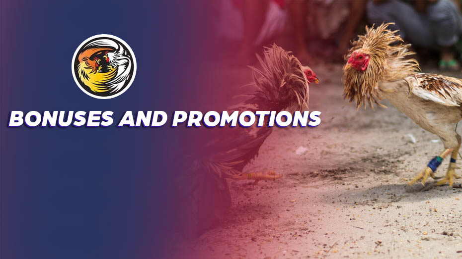 Bonuses and Promotions