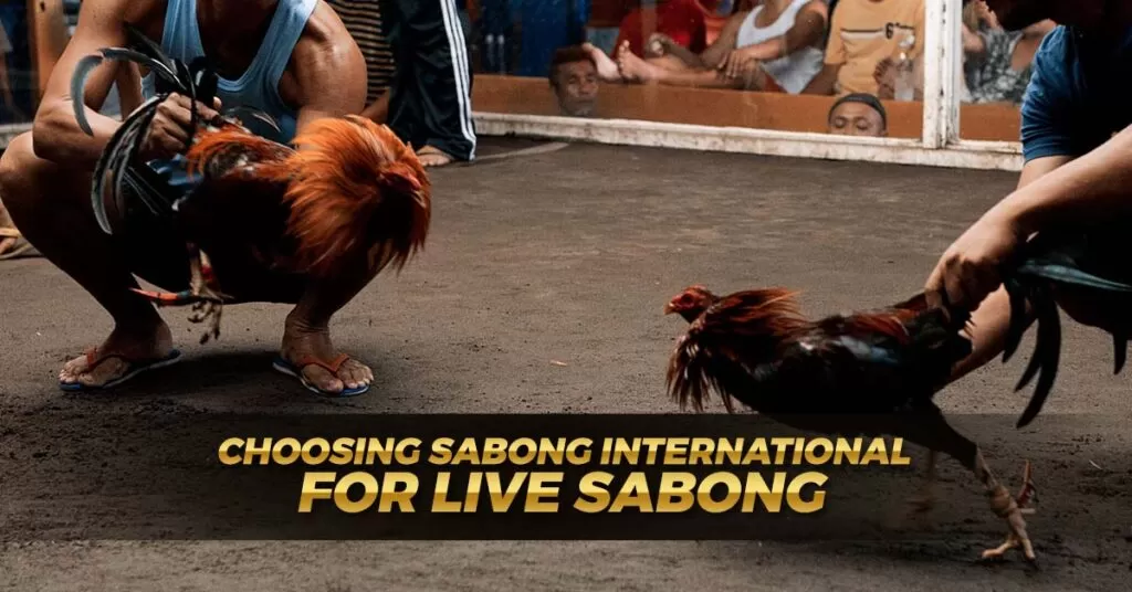 Choosing Sabong International for Live Sabong