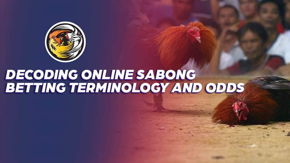 Decoding Online Sabong Betting Terminology and Odds