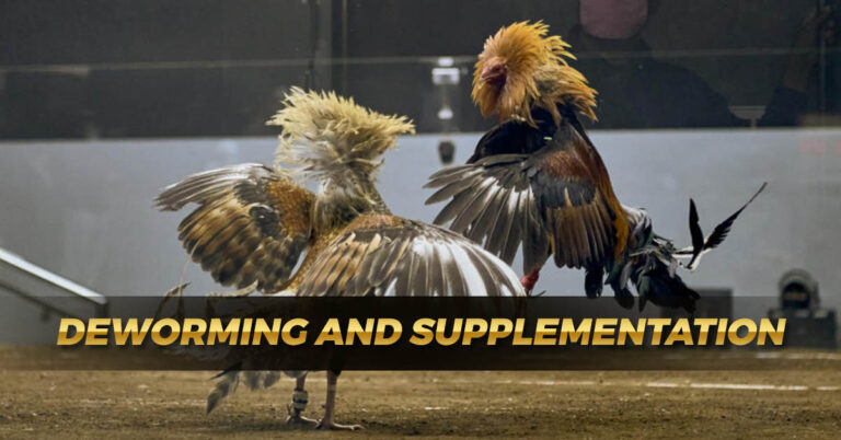 Deworming and Supplementation | Comprehensive Guide