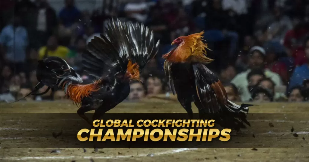 Global Cockfighting Championships