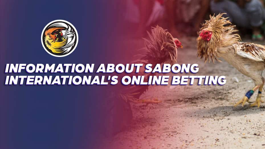 Information about Sabong International's online betting