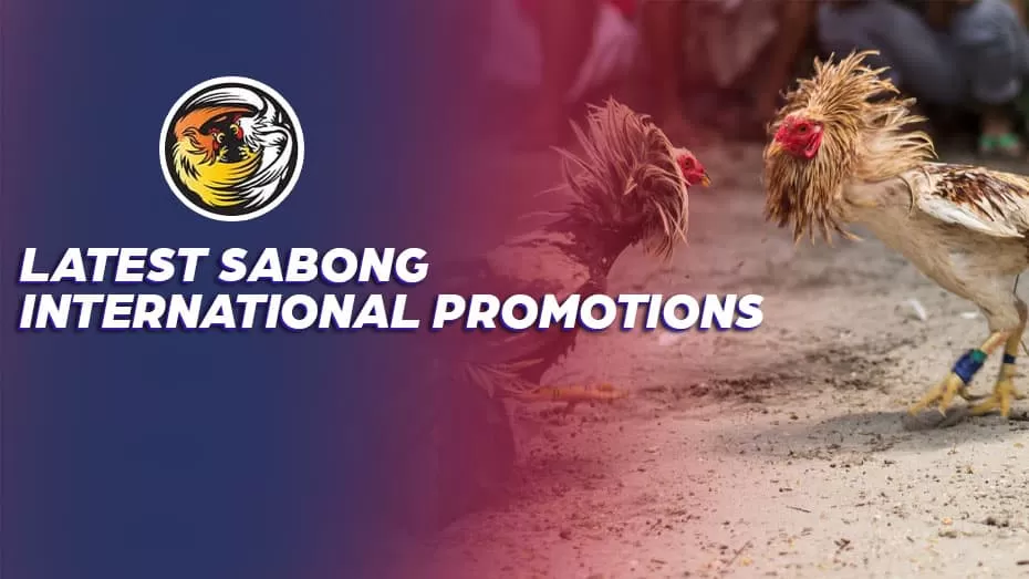 Latest Sabong International Promotions