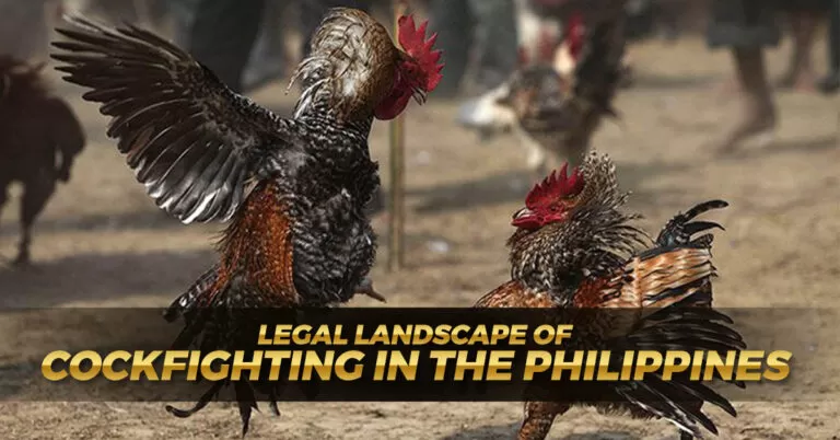 Comprehensive Legal Landscape of Cockfighting in the Philippines