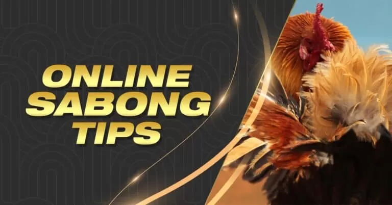 Winning Best Online Sabong Tips by Sabong International