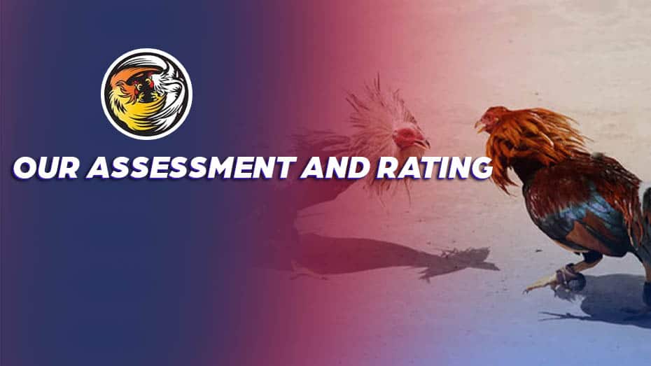 Our Assessment and Rating