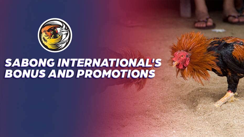 Sabong International's Bonus and Promotions