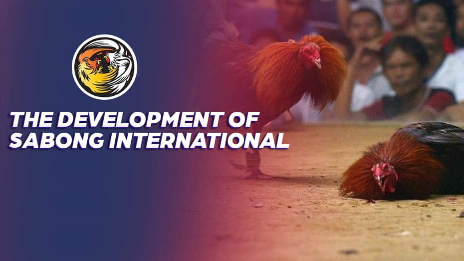 The Development of Sabong International