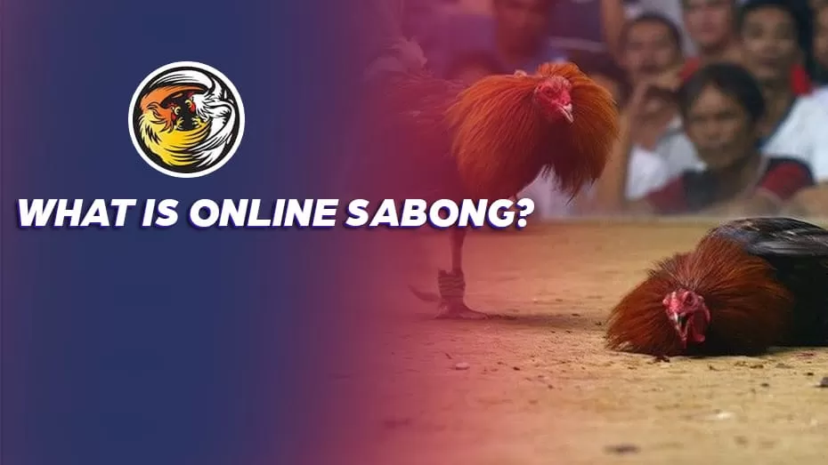 What is Online Sabong