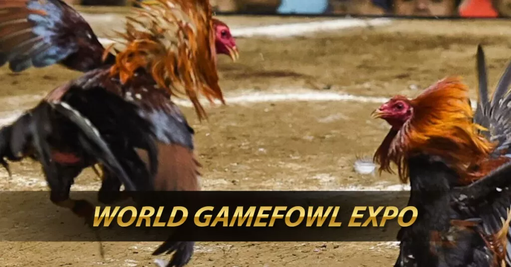 World Gamefowl Expo 2024