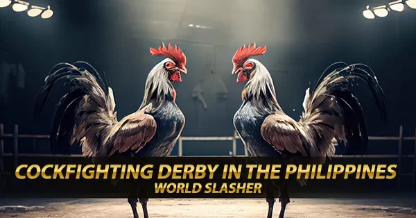 World Slasher Cup 2023 | Online Cockfighting Derby in PH