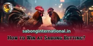 How to win at sabong betting